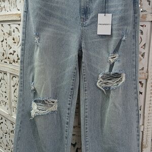 Prosperity Women's Distressed Blue Jeans
